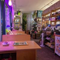  at New Zealand Story in Seoul