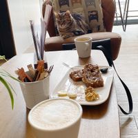 Benny the professional whipcream thief, chilling with us. We had the caramel latte and bananabread, both delicious.  at Kattencafé Op z'n Kop in Groningen