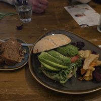  at Kattencafé Op z'n Kop in Groningen