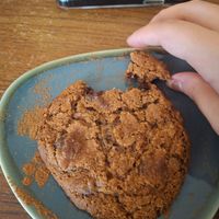  at Kattencafé Op z'n Kop in Groningen