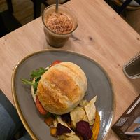 Mocha with Oatmilk and Avocado Sandwich at Kattencafé Op z'n Kop in Groningen