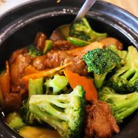 Stewed Vegetable Pot (stewed Chinese cabbage, broccoli, cauliflower, zucchini, carrots mushrooms and veggie meatballs) at SuTao Cafe in Malvern
