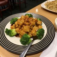   at SuTao Cafe in Malvern