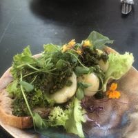Sandwich with potatoes and garden lettuce  at Barok in Ribe