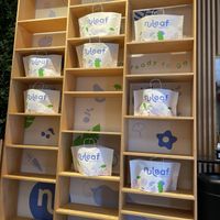 Bagsthetics at NuLeaf in New York City