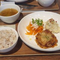 Lasagna, carrot rappe, potato salad, miso soup, rice (approx 1500 yen) at Plant Based Tokyo in Tokyo