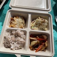 Takeout bento at Plant Based Tokyo in Tokyo