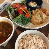   at Plant Based Tokyo in Tokyo