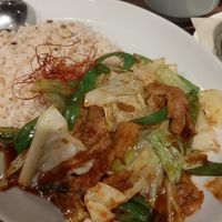 Pork and rice at Plant Based Tokyo in Tokyo