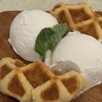   at Plant Based Tokyo in Tokyo