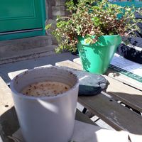 Oat milk cappuccino (part drunk!) at Little Green Refills in Abergavenny