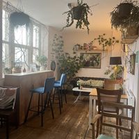   at Little Green Refills in Abergavenny