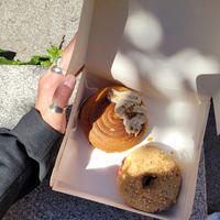 Vegan cronut + peanut butter jelly donut  at Delish Vegan Doughnuts - Malasaña in Madrid
