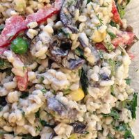 paella at Catering Raw.z in Bucharest