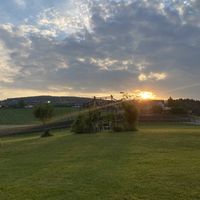 Tolle Sonnenuntergangsstimmung at Trapl Weingut in Lemsitz