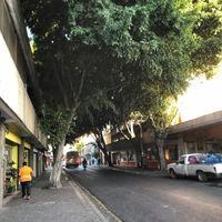   at Alta Fibra in Guadalajara