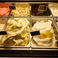 Flavors at Madonna Gelateri in Girona