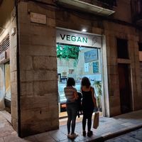 Vegan friendly at Madonna Gelateri in Girona