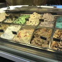 Vegan flavours  at Madonna Gelateri in Girona