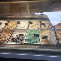 All vegan including mint chocolate at Madonna Gelateri in Girona
