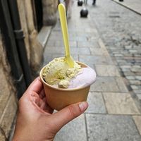 Pistachio and fruits del bosque (unsure of spelling) at Madonna Gelateri in Girona