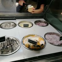 Flavours at Madonna Gelateri in Girona