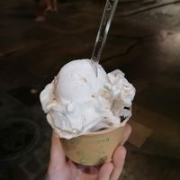 Crocante / White chocolate hazlenut at Madonna Gelateri in Girona