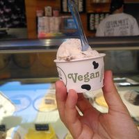 Snickers ice cream at Madonna Gelateri in Girona