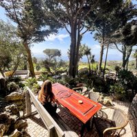 Vibe  at Moinho Dom Quixote in Colares