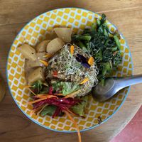 Fried rice with oyster mushrooms, spinach, coconut curry sauce with potatoes   at Casa Jasmine in San Cristobal De Las Casas
