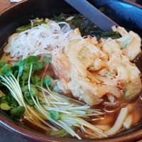 Udon noodle with tempura at Hippari Dako in Nikko