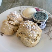 Vegan Cream Tea 😊  at Ashmolean Rooftop Restaurant in Oxford