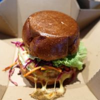 The Garden at Eden Jaxx - Købmagergade in Copenhagen