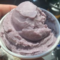 Black Currant Ice Cream  at The Vegan Stuff - Online in Beacon