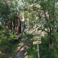 Lovely Garden at Furu Hostel Café in Boestad