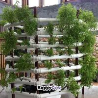 Fresh herbs growing hydroponically in the restaurant at Amala at Prana in Koh Samui