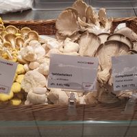 One of few places where you can buy lion's mane mushroom at BachserMärt in Zurich