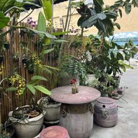   at Kappra Cafe in Bangkok