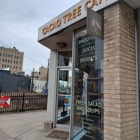 Cafe front at Cacao Tree Cafe in Royal Oak