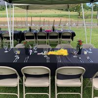   at Shanty Secrets in Danville