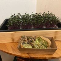 Two takeout tofu skins at YUBU in New York City