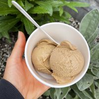 Two half scoops  at Ramblin' Rose  in Portland