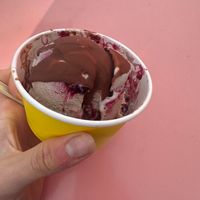 Marionberry jam/sunbutter ice cream 😋 at Ramblin' Rose  in Portland