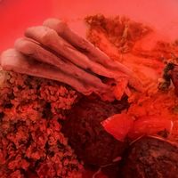 Falafel￼  at Crown & Bull in Dunedin