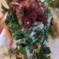 RAW Food 🤤 at Saludpan in Medellin