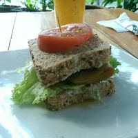 Vegan Sandwich at Saludpan in Medellin