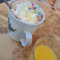Vegan hot coco with cream and sprinkles and fresh orange juice. We also got a glass of free tap water at Vollpension in Vienna