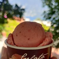  at Pink Panther in Limone Sul Garda