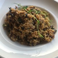 Mushroom risotto  at Churchill in Munxar