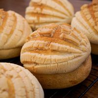 Conchas at Justo in Merida